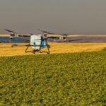 Unde nu a răsărit rapița? AEROCROP identifică zonele afectate cu ajutorul dronei