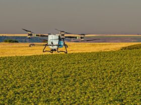 Unde nu a răsărit rapița? AEROCROP identifică zonele afectate cu ajutorul dronei Unde nu a răsărit rapița? AEROCROP identifică zonele afectate cu ajutorul dronei