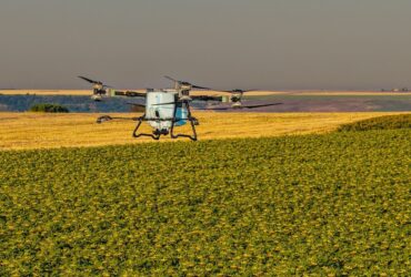 Unde nu a răsărit rapița? AEROCROP identifică zonele afectate cu ajutorul dronei